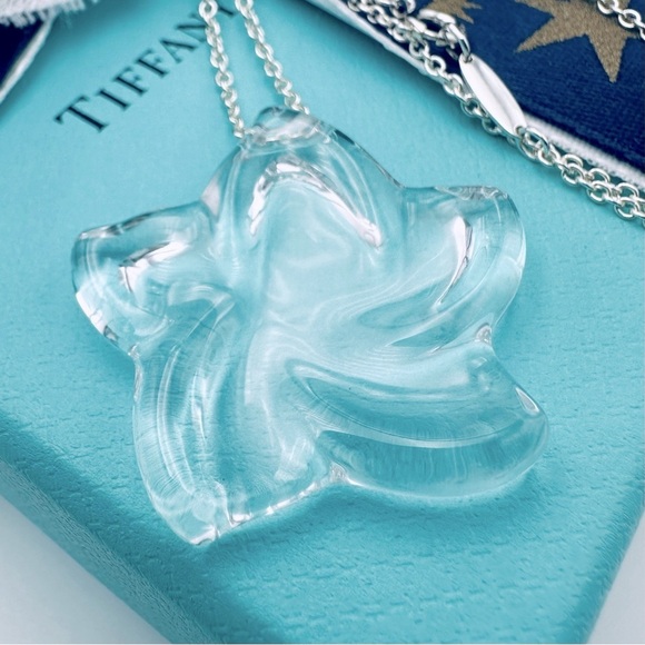 RARE Tiffany & Co. Elsa Peretti Rock Crystal Large Star 30” Silver Necklace - Picture 4 of 10